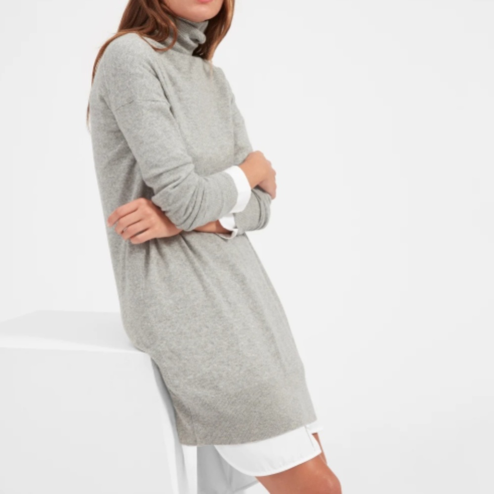 Everlane Cashmere Turtleneck Dress